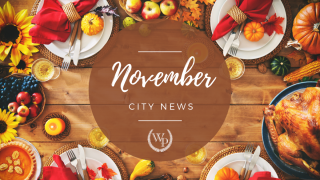 November newsletter graphic