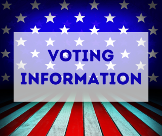 Voting information graphic