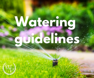 photo of a sprinkler with text that says Watering Guidelines