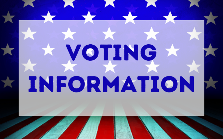 Voting information graphic
