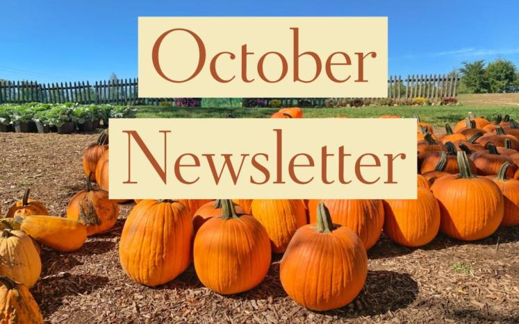 October Newsletter graphic
